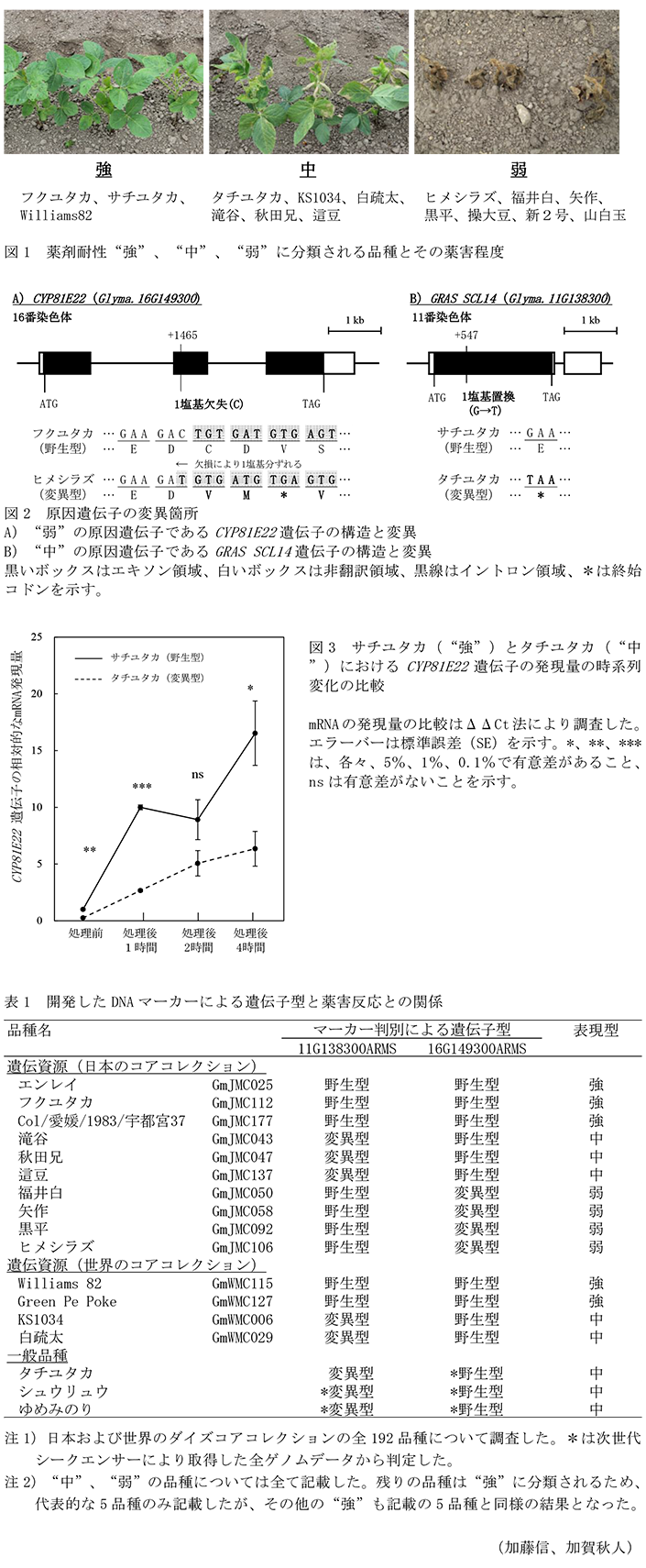 図1 薬剤耐性
