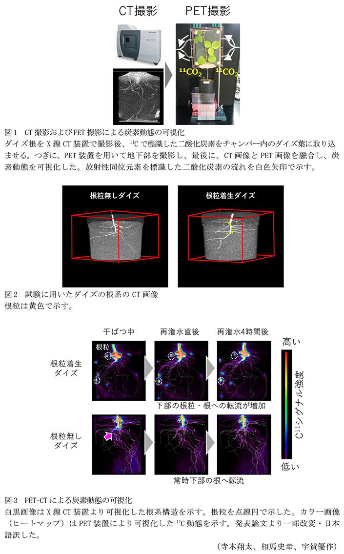 図1 CT撮影およびPET撮影による炭素動態の可視化,図2 試験に用いたダイズの根系のCT画像,図3 PET-CTによる炭素動態の可視化