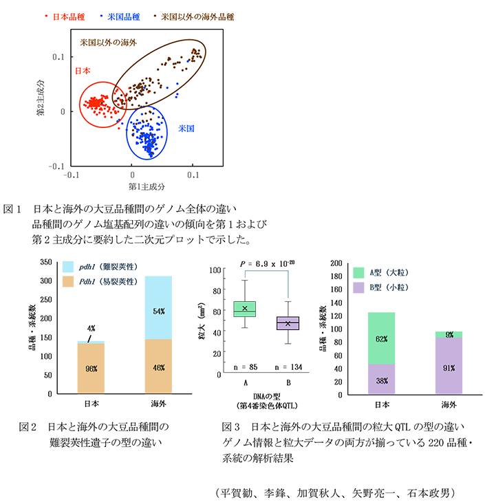図1 日本と海外の大豆品種間のゲノム全体の違い,図2 日本と海外の大豆品種間の難裂莢性遺子の型の違い,図3 日本と海外の大豆品種間の粒大QTLの型の違い