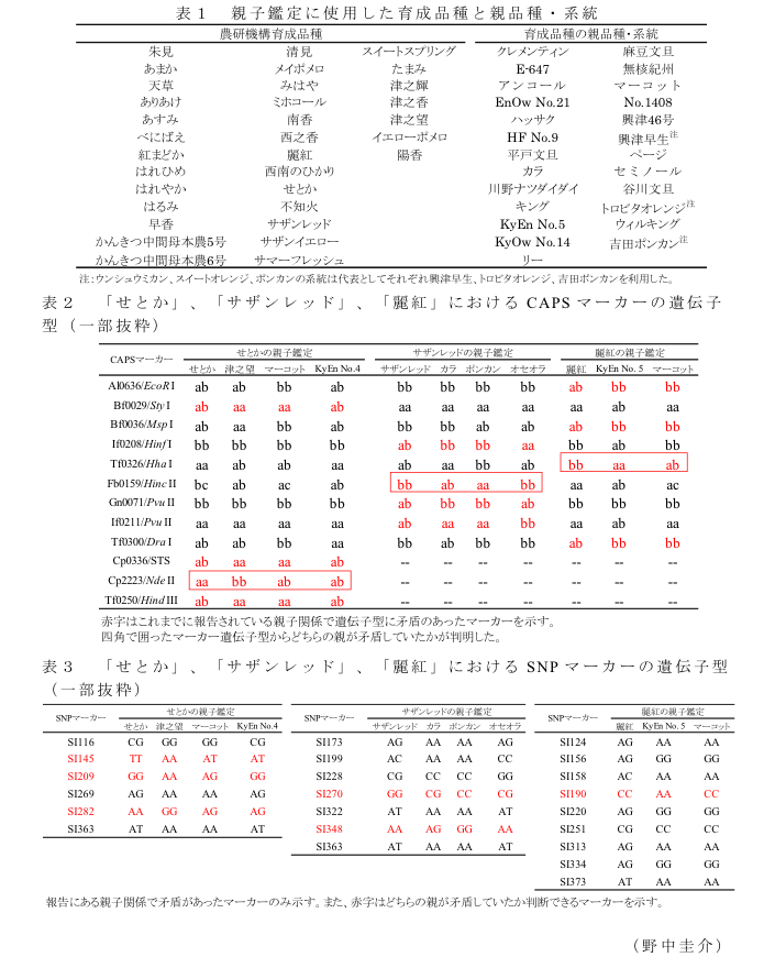 表1 親子鑑定に使用した育成品種と親品種・系統?表2 「せとか」、「サザンレッド」、「麗紅」におけるCAPSマーカーの遺伝子型(一部抜粋)?表3 「せとか」、「サザンレッド」、「麗紅」におけるSNPマーカーの遺伝子型(一部抜粋)