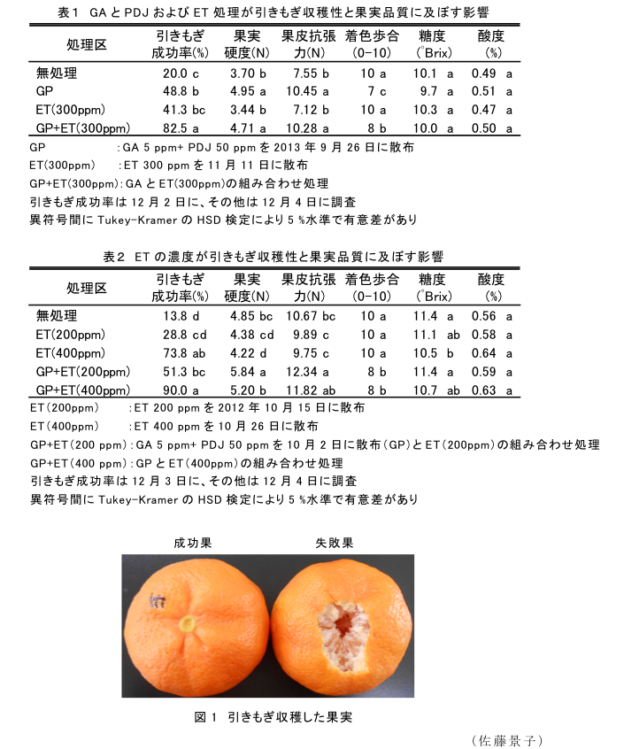 表1 GAとPDJおよびET処理が引きもぎ収穫性と果実品質に及ぼす影響?表2 ETの濃度が引きもぎ収穫性と果実品質に及ぼす影響