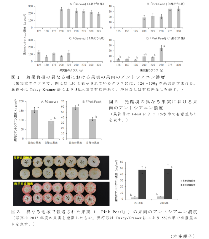 図1 着果負担の異なる樹における果実の果肉のアントシアニン濃度?図2 光環境の異なる果実における果肉のアントシアニン濃度?図3 異なる地域で栽培された果実(「Pink Pearl」)の果肉のアントシアニン濃度