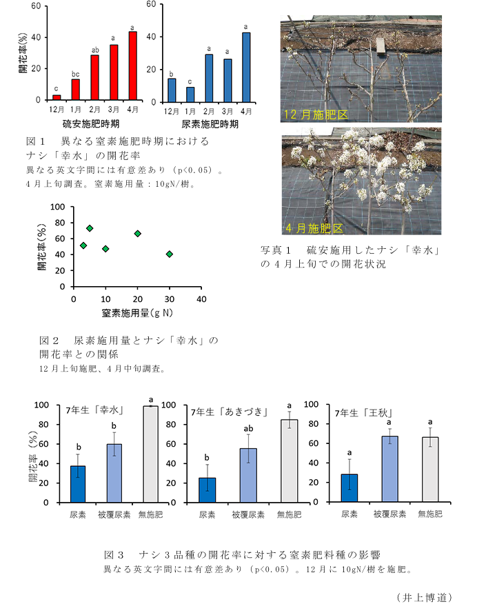 図1 異なる窒素施肥時期におけるナシ「幸水」の開花率?図2 尿素施用量とナシ「幸水」の開花率との関係?図3 ナシ3品種の開花率に対する窒素肥料種の影響?写真1 硫安施用したナシ「幸水」の4月上旬での開花状況