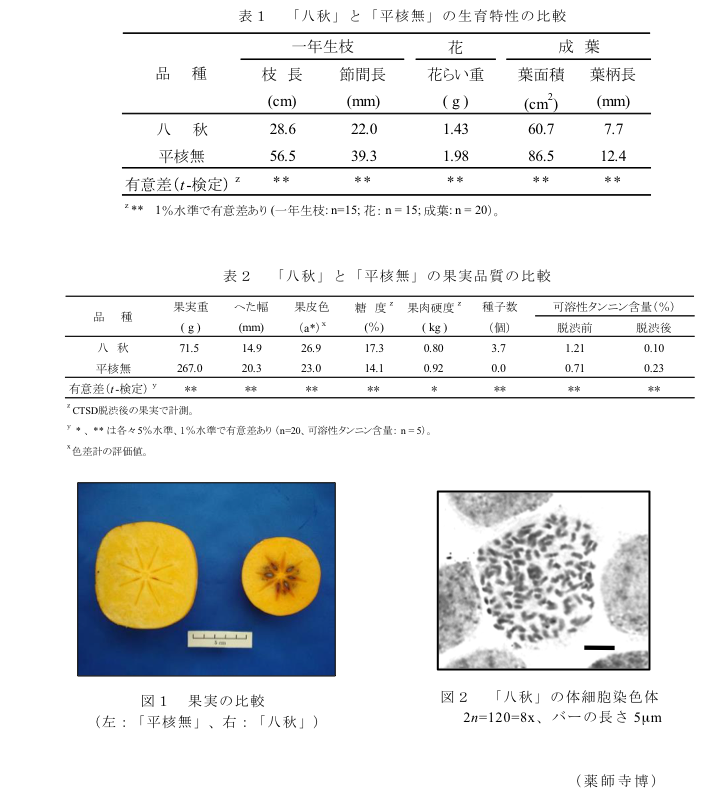 表1 「八秋」と「平核無」の生育特性の比較?表2 「八秋」と「平核無」の果実品質の比較?図1 果実の比較(左:「平核無」、右:「八秋」)?図2 「八秋」の体細胞染色体