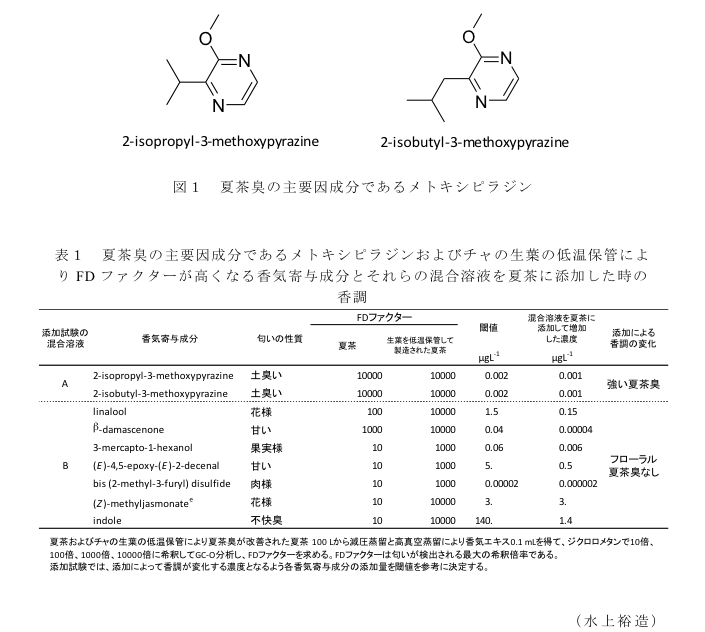 図1 夏茶臭の主要因成分であるメトキシピラジン?表1 夏茶臭の主要因成分であるメトキシピラジンおよびチャの生葉の低温保管によりFDファクターが高くなる香気寄与成分とそれらの混合溶液を夏茶に添加した時の香調