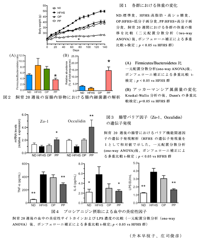 図1 各群における体重の変化?図2 飼育20週後の盲腸内容物における腸内細菌叢の解析?図3 腸管バリア因子(Zo-1、Occulidin)の遺伝子発現?図4 プロシアニジン摂取による血中の炎症性因子