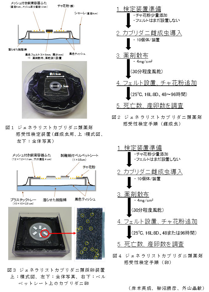 図1 ジェネラリストカブリダニ類薬剤感受性検定装置;図2 ジェネラリストカブリダニ類薬剤感受性検定手順(雌成虫); 図3 ジェネラリストカブリダニ類採卵装置;図4 ジェネラリストカブリダニ類薬剤感受性検定手順(卵)