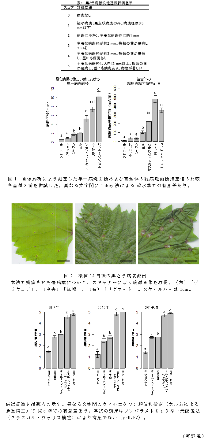 図1 画像解析により測定した単一病斑面積および苗全体の総病斑面積推定値の比較
各品種8苗を供試した;図2 接種14日後の黒とう病病徴例;図3 抵抗性の異なる5品種の黒とう病抵抗性達観評価平均値