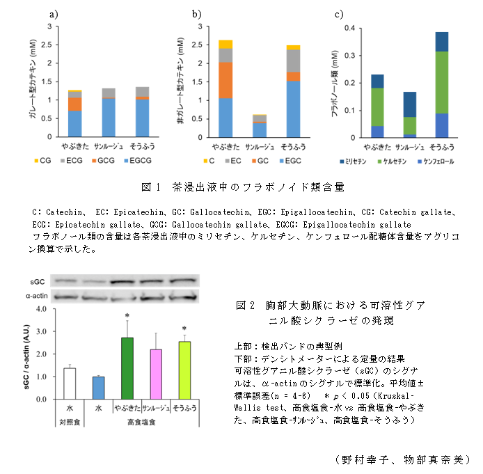 図1 茶浸出液中のフラボノイド類含量;図2 胸部大動脈における可溶性グアニル酸シクラーゼの発現