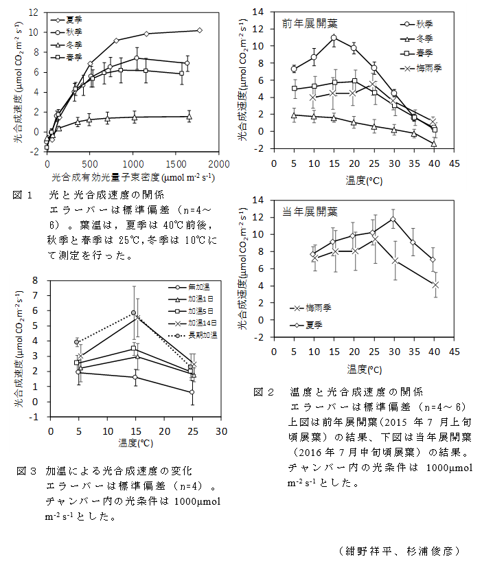 図1 光と光合成速度の関係;図2 温度と光合成速度の関係エラーバーは標準偏差;図3 加温による光合成速度の変化エラーバーは標準偏差(n=4)。