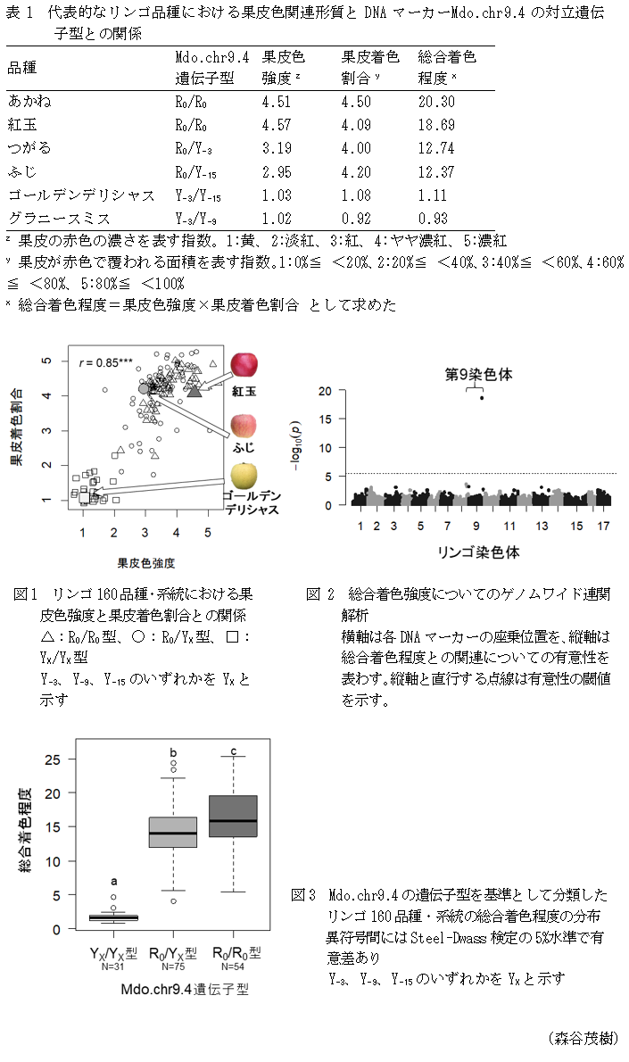 表1 代表的なリンゴ品種における果皮色関連形質とDNAマーカーMdo.chr9.4の対立遺伝子型との関係,図1 リンゴ160品種・系統における果皮色強度と果皮着色割合との関係,図2 総合着色強度についてのゲノムワイド連関解析,図3 Mdo.chr9.4の遺伝子型を基準として分類したリンゴ160品種・系統の総合着色程度の分布