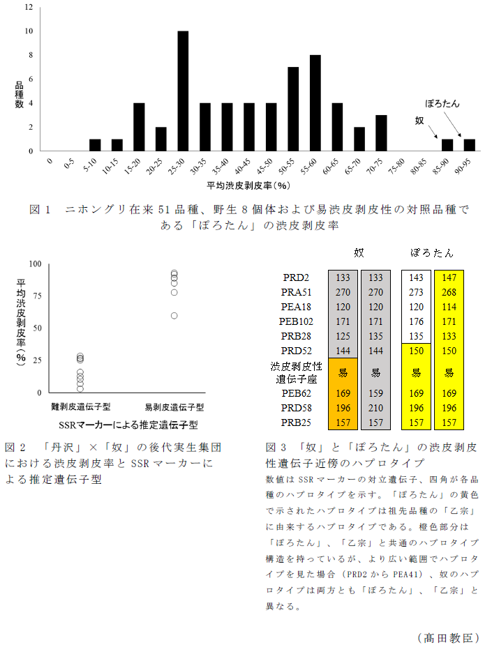 図1 ニホングリ在来51品種、野生8個体および易渋皮剥皮性の対照品種である「ぽろたん」の渋皮剥皮率,図2 「丹沢」×「奴」の後代実生集団における渋皮剥皮率とSSRマーカーによる推定遺伝子型,図3 「奴」と「ぽろたん」の渋皮剥皮性遺伝子近傍のハプロタイプ