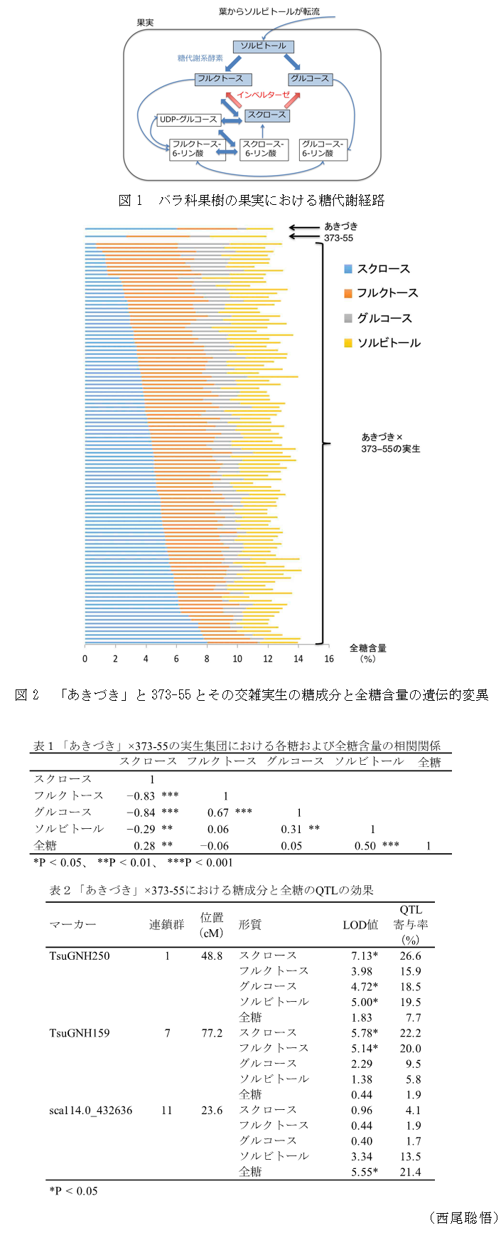 図1 バラ科果樹の果実における糖代謝経路,図2 「あきづき」と373-55とその交雑実生の糖成分と全糖含量の遺伝的変異,表1 「あきづき」と373-55の実生集団における各糖および全糖含量の相関関係,表2 「あきづき」と373-55における糖成分と全糖のQTLの効果