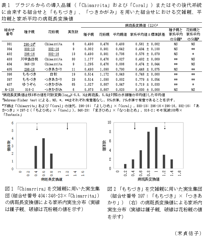 表1 ブラジルからの導入品種(「Chimarrita」および「Coral」)またはその後代系統に由来する組合せと「もちづき」、「つきかがみ」を用いた組合せにおける交雑親、平均親と家系平均の病斑長変換値,図1 「Chimarrira」を交雑親に用いた実生集団(組合せ番号404:346-23×「Chimarrita」)の病斑長変換値による家系内実生分布(実線は種子親、破線は花粉親の値を示す),図2 「もちづき」を交雑親に用いた実生集団(組合せ番号397:「もちづき」×「つきあかり」)(右)の病斑長変換値による家系内実生分布(実線は種子親、破線は花粉親の値を示す)