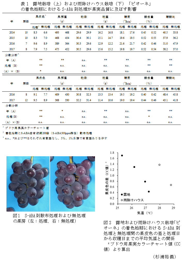 表1 露地栽培(上)および雨除けハウス栽培(下)「ピオーネ」の着色始期におけるS-ABA剤処理が果実品質に及ぼす影響,図1 S-ABA剤散布処理および無処理の果房(左:処理、右:無処理),図2 露地および雨除けハウス栽培「ピオーネ」の着色始期におけるS-ABA剤処理と無処理間の果皮色の差と処理日から収穫日までの平均気温との関係