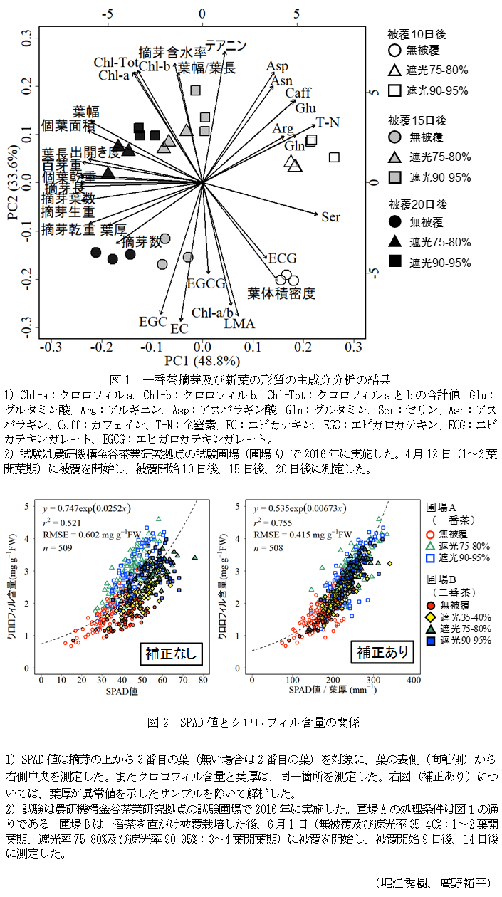 図1 一番茶摘芽及び新葉の形質の主成分分析の結果,図2 SPAD値とクロロフィル含量の関係,