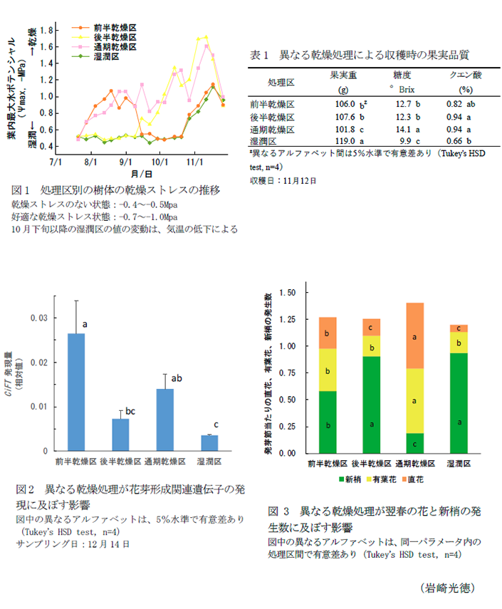 表1 異なる乾燥処理による収穫時の果実品質,図1 処理区別の樹体の乾燥ストレスの推移,図2 異なる乾燥処理が花芽形成関連遺伝子の発現に及ぼす影響,図3 異なる乾燥処理が翌春の花と新梢の発生数に及ぼす影響