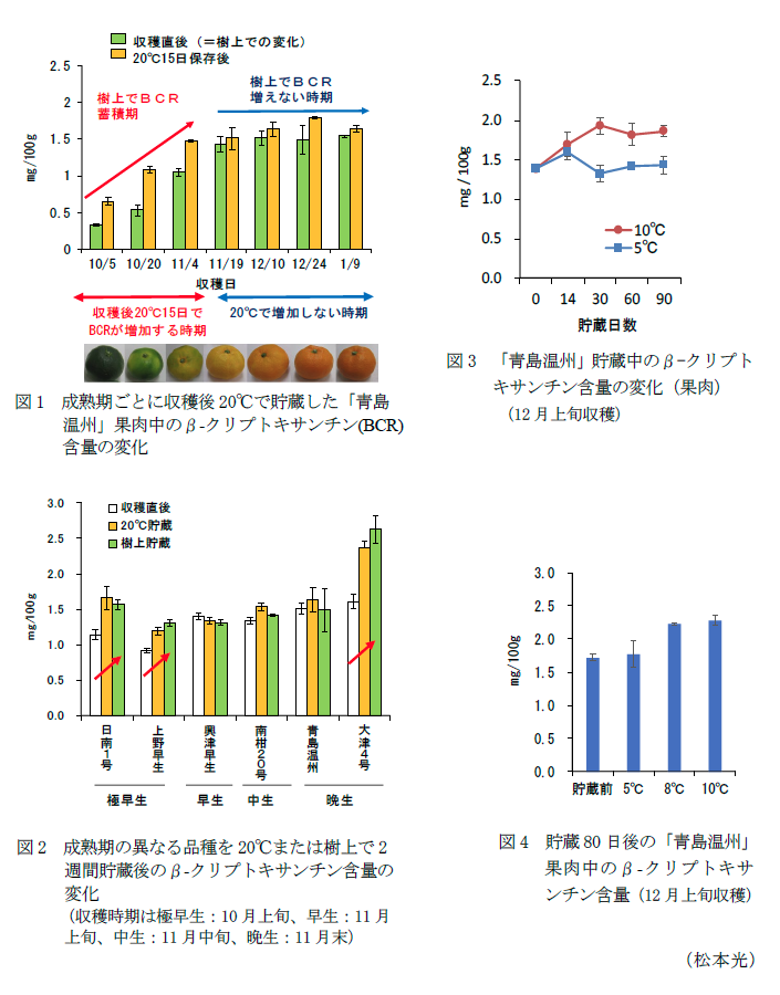 図1 成熟期ごとに収穫後20°Cで貯蔵した「青島温州」果肉中のβ-クリプトキサンチン(BCR)含量の変化,図2 成熟期の異なる品種を20°Cまたは樹上で2週間貯蔵後のβ-クリプトキサンチン含量の変化,図3 「青島温州」貯蔵中のβ-クリプトキサンチン含量の変化(果肉),図4 貯蔵80日後の「青島温州」果肉中のβ-クリプトキサンチン含量