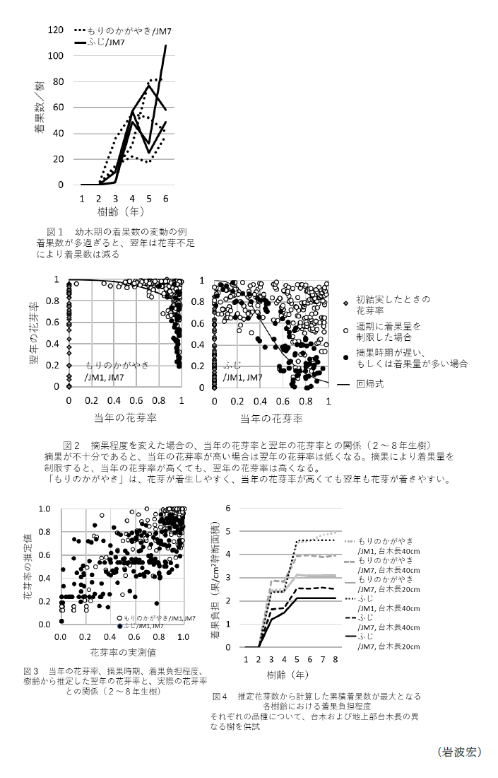 図1 幼木期の着果数の変動の例 着果数が多過ぎると、翌年は花芽不足により着果数は減る,図2 摘果程度を変えた場合の、当年の花芽率と翌年の花芽率との関係(2~8年生樹) 摘果が不十分であると、当年の花芽率が高い場合は翌年の花芽率は低くなる,図3 当年の花芽率、摘果時期、着果負担程度、樹齢(年) 樹齢から推定した翌年の花芽率と、実際の花芽率 との関係(2~8年生樹),図4 推定花芽数から計算した累積着果数が最大となる