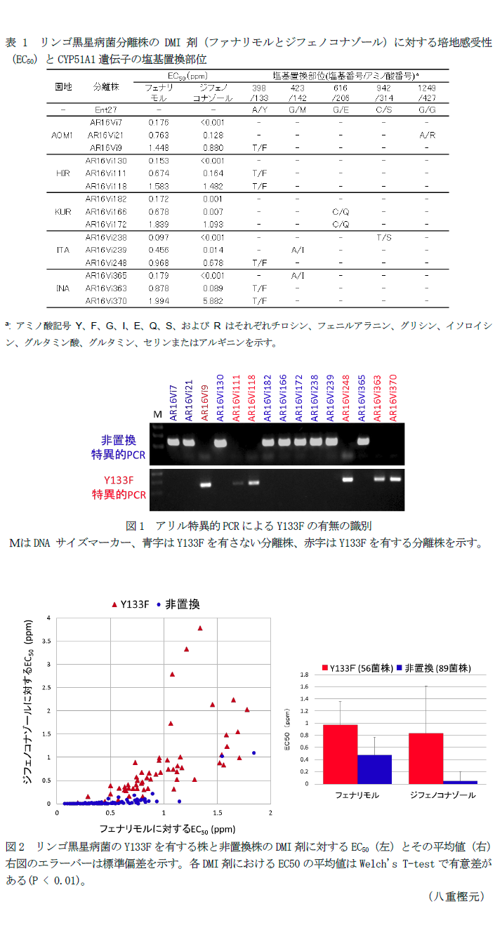表1 リンゴ黒星病菌分離株のDMI剤(ファナリモルとジフェノコナゾール)に対する培地感受性(EC50)とCYP51A1遺伝子の塩基置換部位,図1 アリル特異的PCRによるY133Fの有無の識別,図2 リンゴ黒星病菌のY133Fを有する株と非置換株のDMI剤に対するEC50(左)とその平均値(右)右図のエラーバーは標準偏差を示す