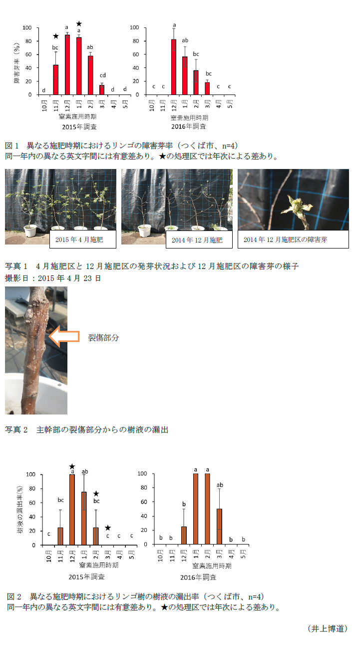 図1 異なる施肥時期におけるリンゴの障害芽率,写真1 4月施肥区と12月施肥区の発芽状況および12月施肥区の障害芽の様子,写真2 主幹部の裂傷部分からの樹液の漏出,図2 異なる施肥時期におけるリンゴ樹の樹液の漏出率