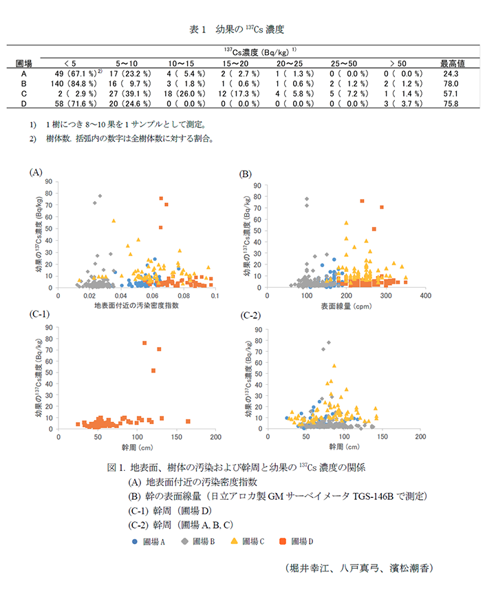 表1 幼果の137Cs濃度,図1. 地表面、樹体の汚染および幹周と幼果の137Cs濃度の関係