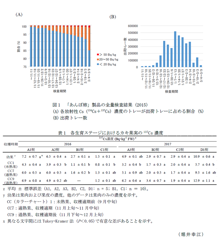 図1 「あんぽ柿」製品の全量検査結果,表1 各生育ステージにおけるカキ果実の137Cs濃度