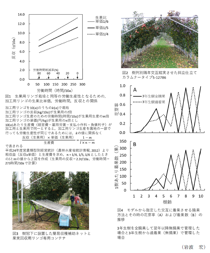 図1 生果用リンゴ栽培と同等の労働生産性となるための、加工用リンゴの生果比単価、労働時間、反収との関係,図2 樹列別隔年交互結実させた斜立仕立てカラムナータイプ5-12786,図3 樹冠下に設置した簡易収穫補助ネットと果実回収用リンゴ専用コンテナ,図4 モデルから指定した交互に着果させる摘果方法とその時の花芽率(A)および着果数(B)の推移