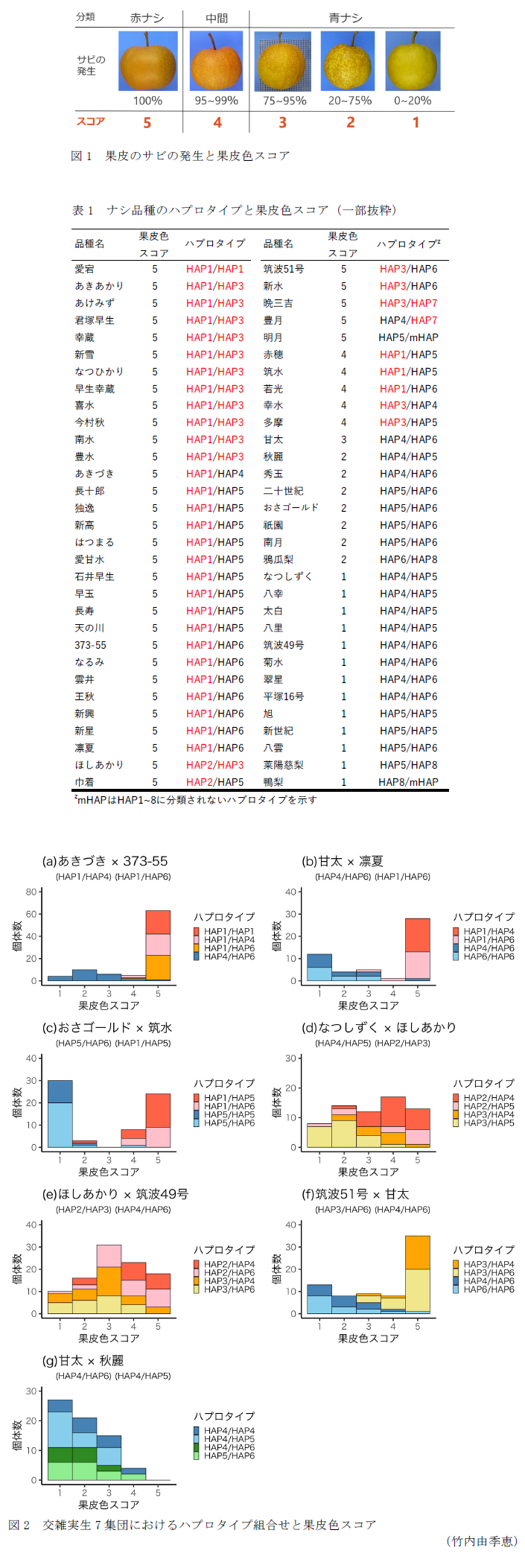 図1 果皮のサビの発生と果皮色スコア,表1 ナシ品種のハプロタイプと果皮色スコア(一部抜粋),図2 交雑実生7集団におけるハプロタイプ組合せと果皮色スコア