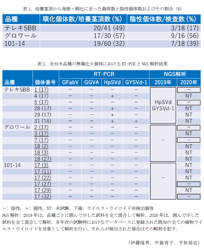 表1.培養茎頂から発根・順化に至った個体数と陰性個体数およびその割合 (%),表2.各台木品種の無毒化6個体におけるRT-PCRとNGS解析結果