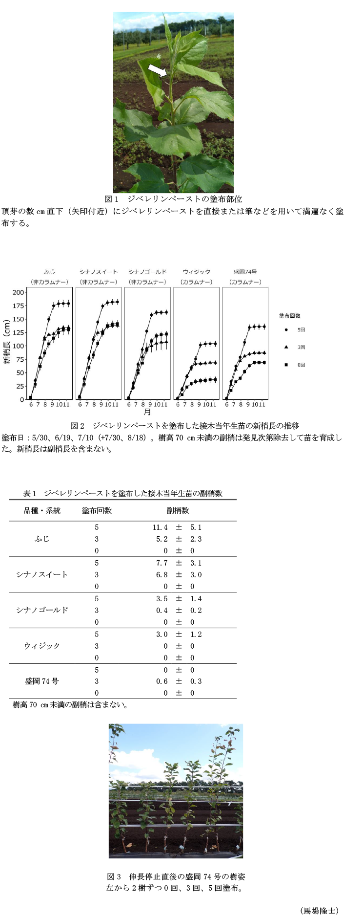 図1 ジベレリンペーストの塗布部位,図2 ジベレリンペーストを塗布した接木当年生苗の新梢長の推移,表1 ジベレリンペーストを塗布した接木当年生苗の副梢数,図3 伸長停止直後の盛岡74号の樹姿