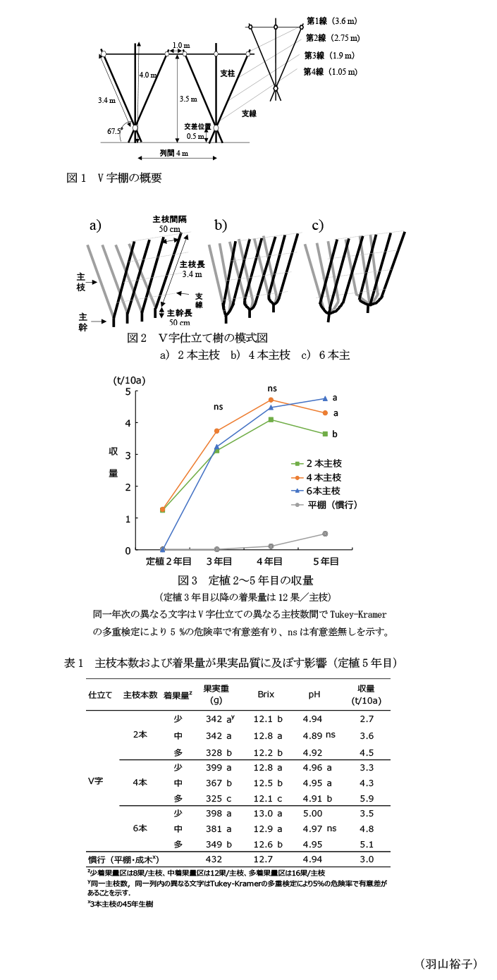 図1 V字棚の概要,図2 V字仕立て樹の模式図,図3 定植2～5年目の収量,表1 主枝本数および着果量が果実品質に及ぼす影響(定植5年目)