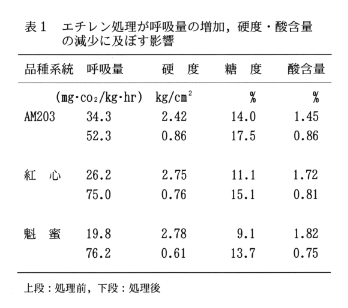 表1.エチレン処理が呼吸量の増加、硬度・酸含量の減少に及ぼす影響