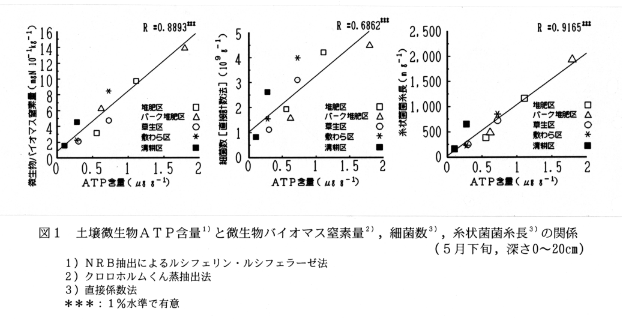 図1.土壌微生物ATP含量と微生物バイオマス窒素量、細菌数、糸状菌菌糸長の関係