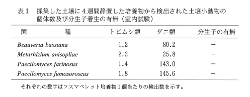 表1.採集した土壌に4週間静置した培養物から検出された土壌小動物の固体数及び分生子着生の有無