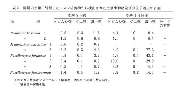 表2.圃場の土壌に処理したフスマ培養物から検出された土壌小動物及び分生子着生の有無