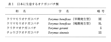 表1.日本に生息するオナガコバチ類
