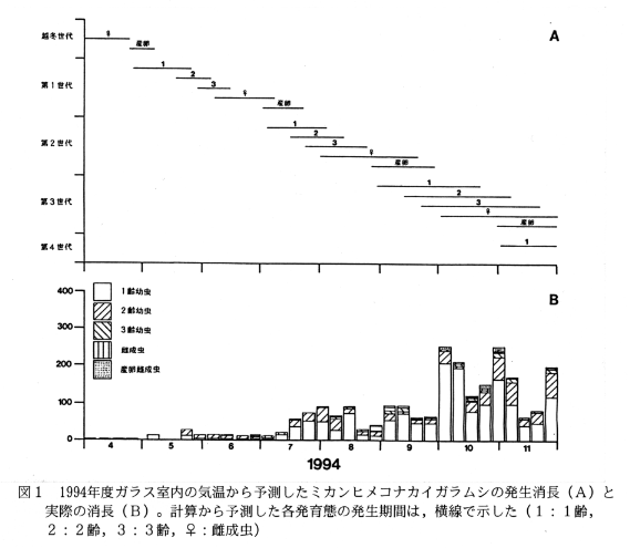 図1.1994年度ガラス室内の気温から予測したミカンヒメコナカイガラムシの発生消長(A)と実際の消長(B)。