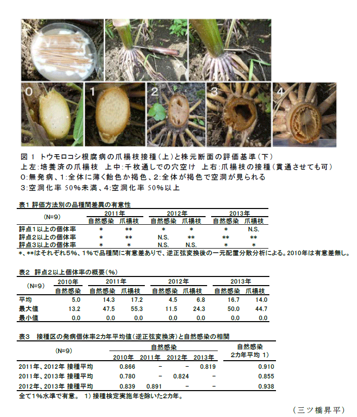 図1,表1~3