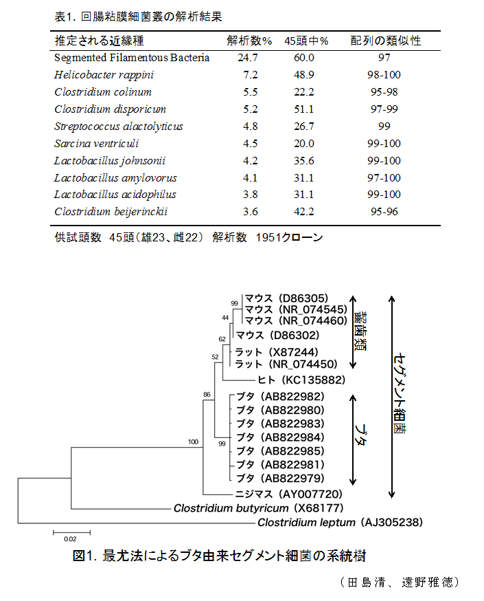 図1,表1