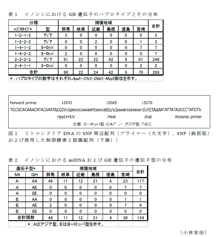 図1,表1～2