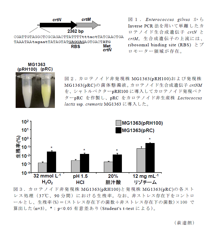 図1～3