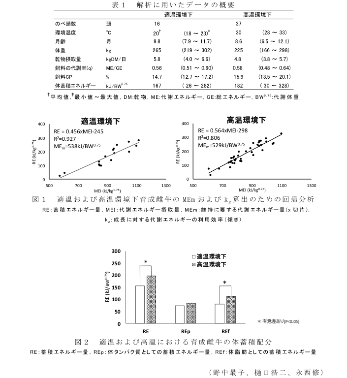 表1 解析に用いたデータの概要?図1 適温および高温環境下育成雌牛のMEmおよびkg算出のための回帰分析?図2 適温および高温における育成雌牛の体蓄積配分