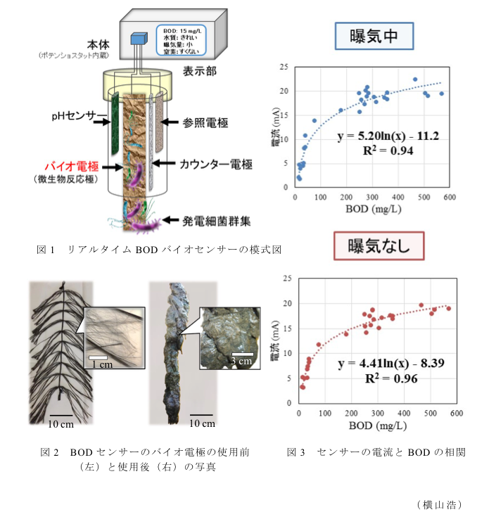 図1 リアルタイムBODバイオセンサーの模式図?図2 BOD センサーのバイオ電極の使用前(左)と使用後(右)の写真?図3 センサーの電流とBODの相関