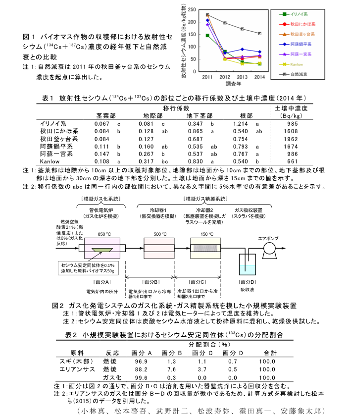 図1 バイオマス作物の収穫部における放射性セシウム(134Cs+137Cs)濃度の経年低下と自然減衰との比較?表1 放射性セシウム(134Cs+137Cs)の部位ごとの移行係数及び土壌中濃度(2014年)?図2 ガス化発電システムのガス化系統・ガス精製系統を模した小規模実験装置