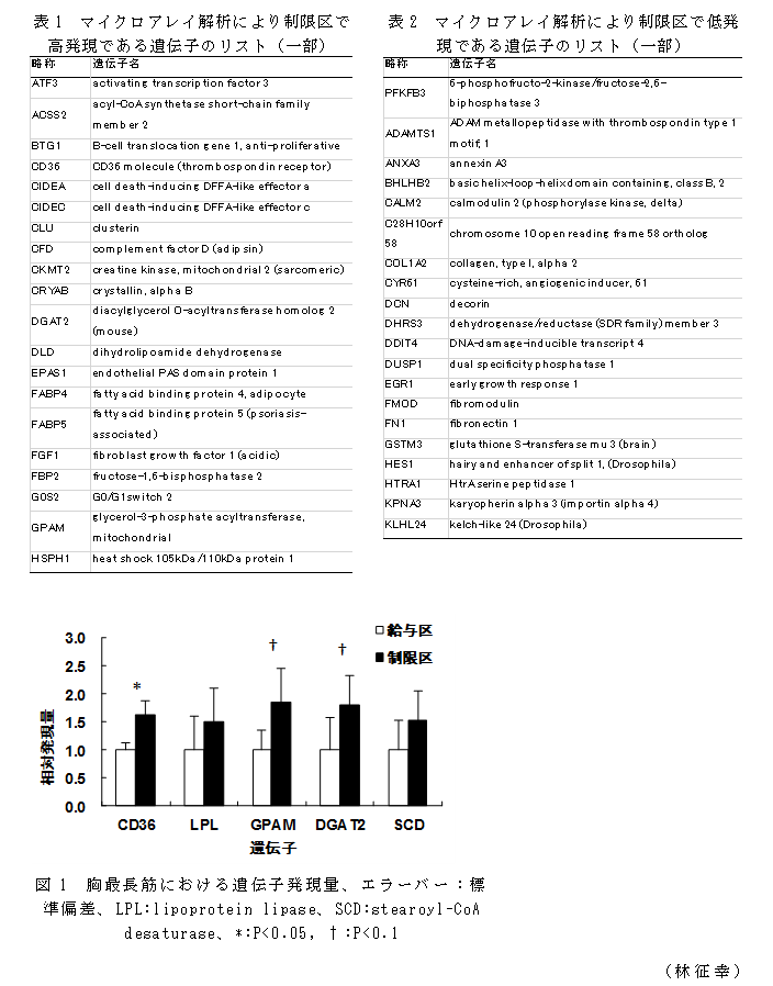 表1 マイクロアレイ解析により制限区で高発現である遺伝子のリスト(一部);表2 マイクロアレイ解析により制限区で低発現である遺伝子のリスト(一部);図1 胸最長筋における遺伝子発現量、エラーバー:標準偏差、LPL:lipoprotein lipase、SCD:stearoyl-CoA desaturase、*:P<0.05, †:P<0.1