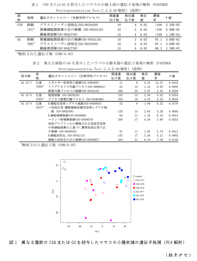 図1 異なる菌数のC59またはGGを投与したマウスの小腸末端の遺伝子発現(PCA解析)