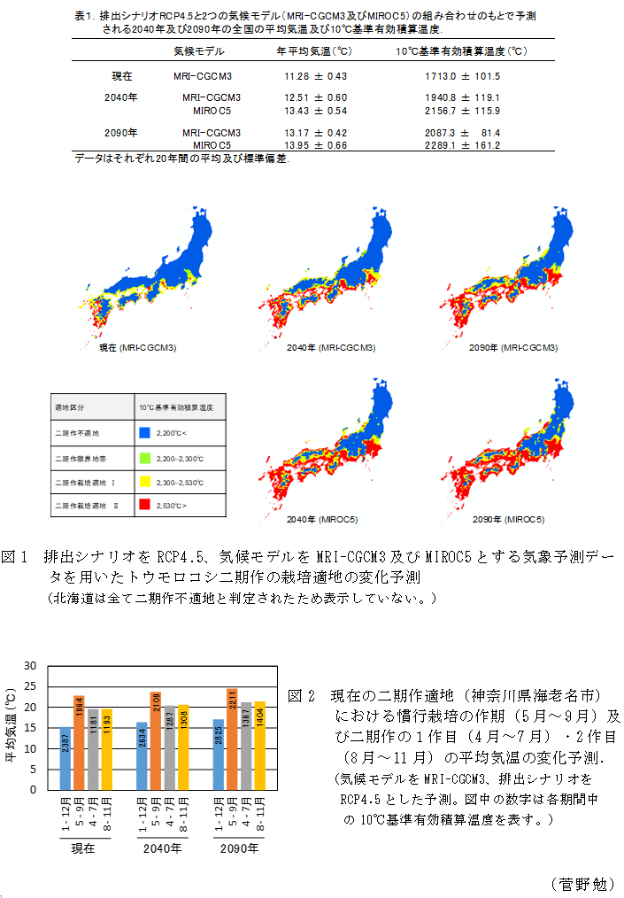 表1 排出シナリオRCP4.5と2つの気候モデル(MRI-CGCM3及びMIROC5)の組み合わせのもとで予測される2040年及び2090年の全国の平均気温及び°C基準有効積算温度,図1 排出シナリオをRCP4.5、気候モデルをMRI-CGCM3及びMIROC5とする気象予測データを用いたトウモロコシ二期作の栽培適地の変化予測(北海道は全て二期作不適地と判定されたため表示していない。),図2 現在の二期作適地(神奈川県海老名市)における慣行栽培の作期(5月～9月)及び二期作の1作目(4月～7月)・2作目(8月～11月)の平均気温の変化予測