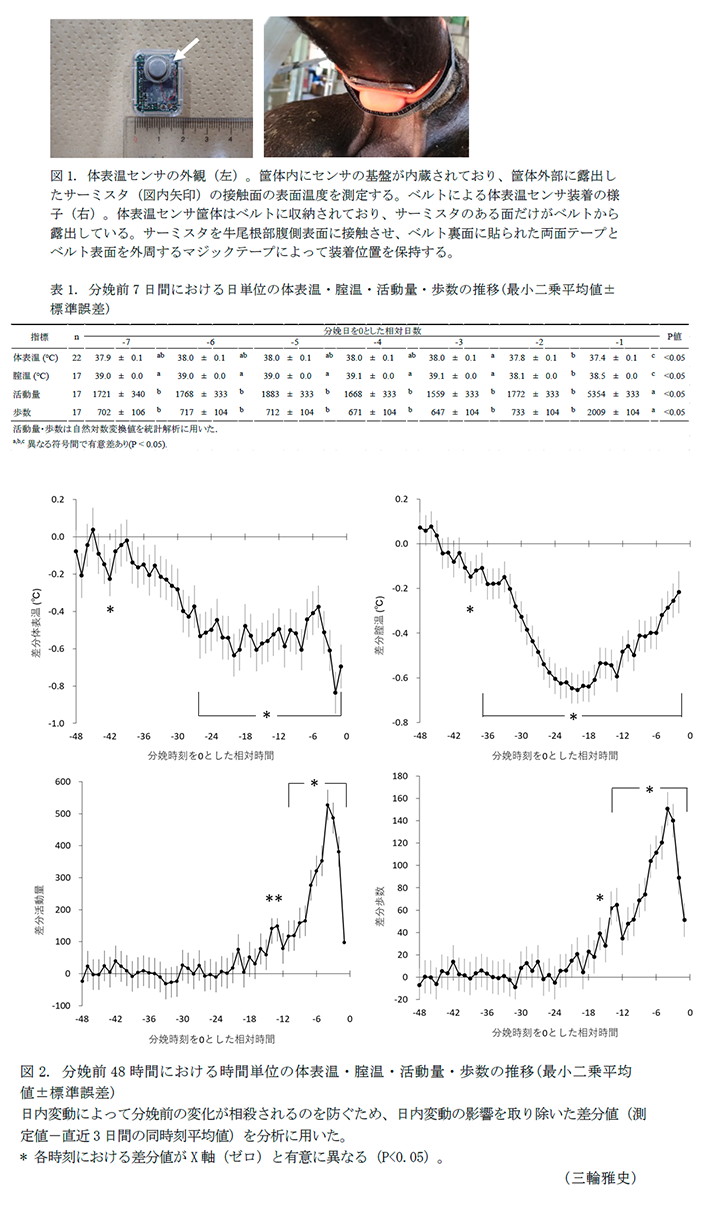 図1. 体表温センサの外観,表1. 分娩前7日間における日単位の体表温・腟温・活動量・歩数の推移,図2. 分娩前48時間における時間単位の体表温・腟温・活動量・歩数の推移