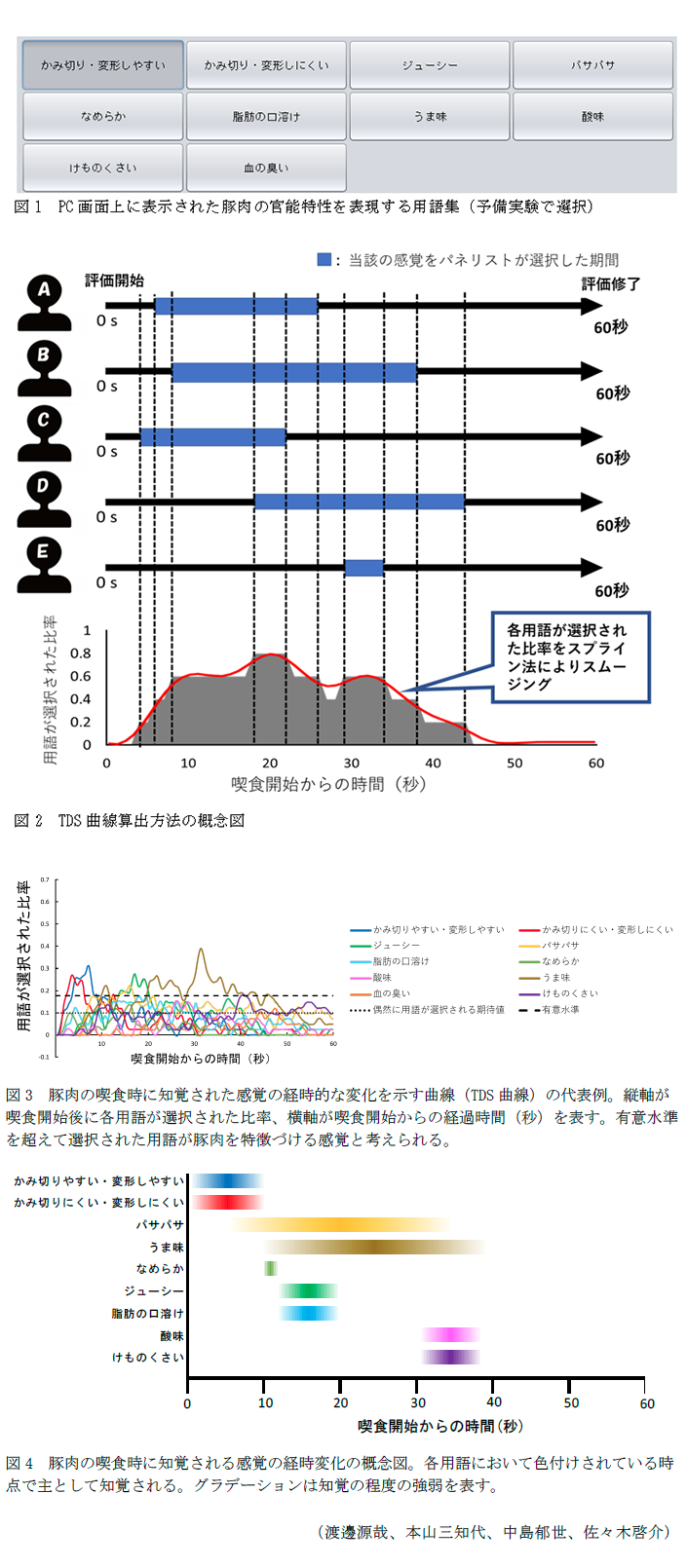 図1 PC画面上に表示された豚肉の官能特性を表現する用語集,図2 TDS曲線算出方法の概念図,図3 豚肉の喫食時に知覚された感覚の経時的な変化を示す曲線(TDS曲線)の代表例,図4 豚肉の喫食時に知覚される感覚の経時変化の概念図